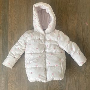 Toddler Girl Jacket -5T